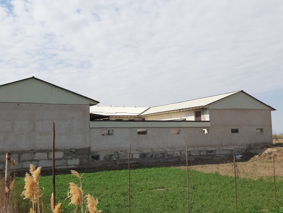 Uchastka yaxwi xolatda ferma uchun yaxwi imkoniyat