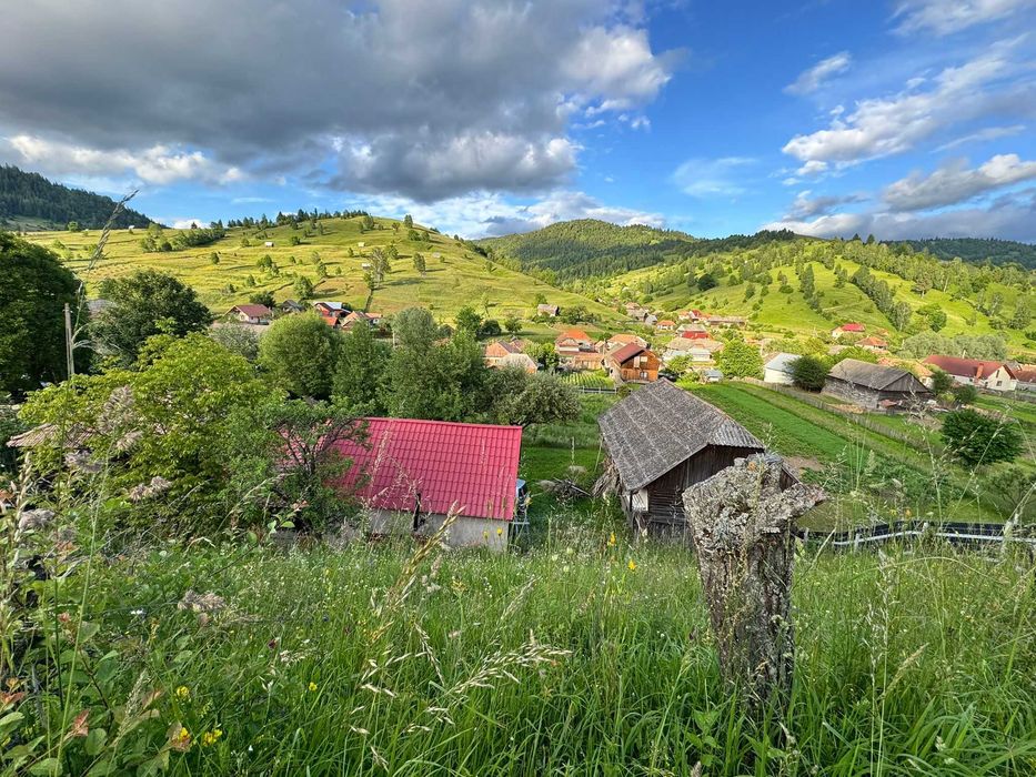 Casa de vanzare la tara , judetul Bacau, satul Bolovanis, plus anexa si sura. Suprafata teren 2000mp.