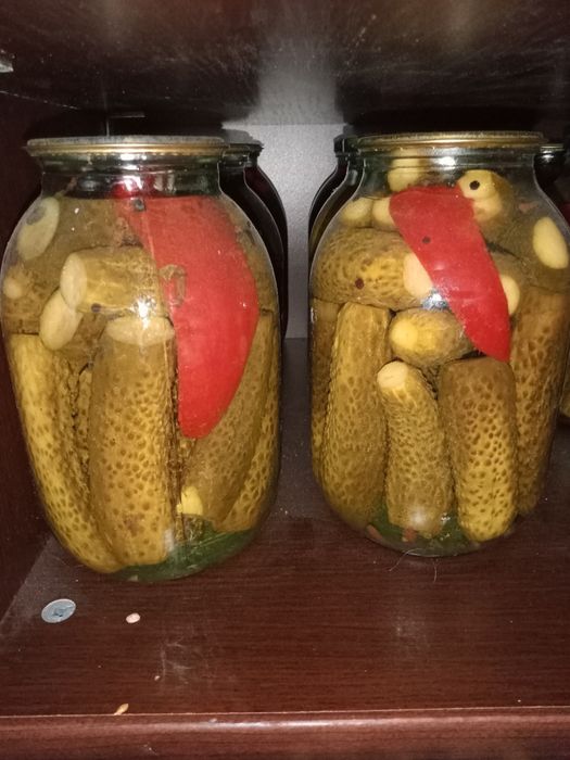 Продам саленье кампот лече