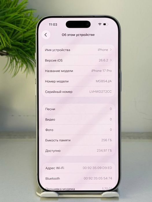 iPhone 17 Pro Max e-simm
