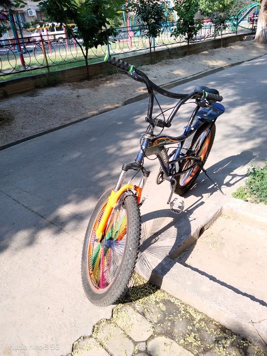 Bonvi veligi xolatdi yaxshi