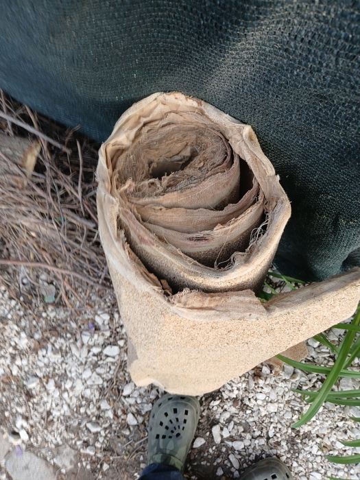 Smirghel panzat sul abraziv 80