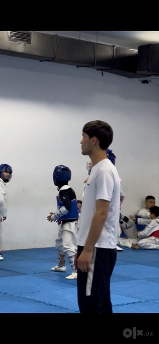 Taekwondo WTF  Trener