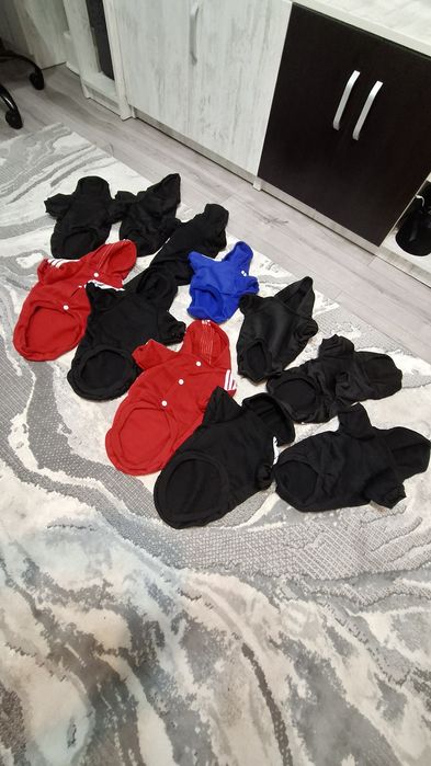 Hăinuțe catei talie mica