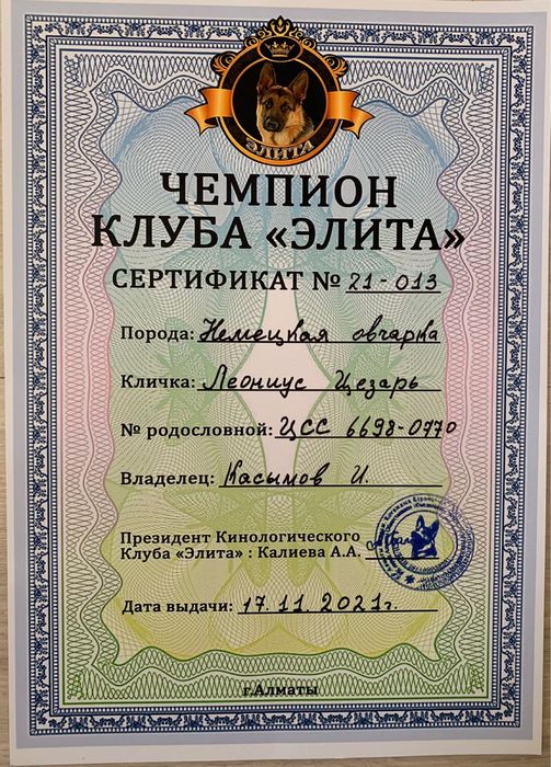 Щенки немецкой овчарки