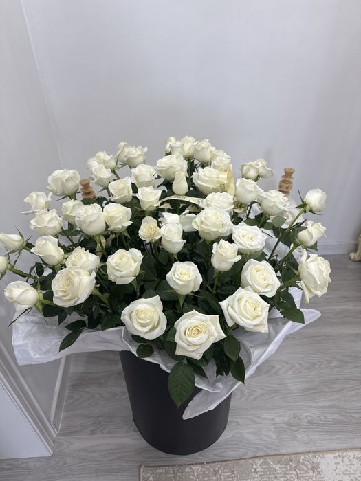 51 штук роза өте әдемі