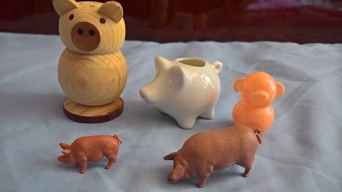 Продавам прасенца-заменям.