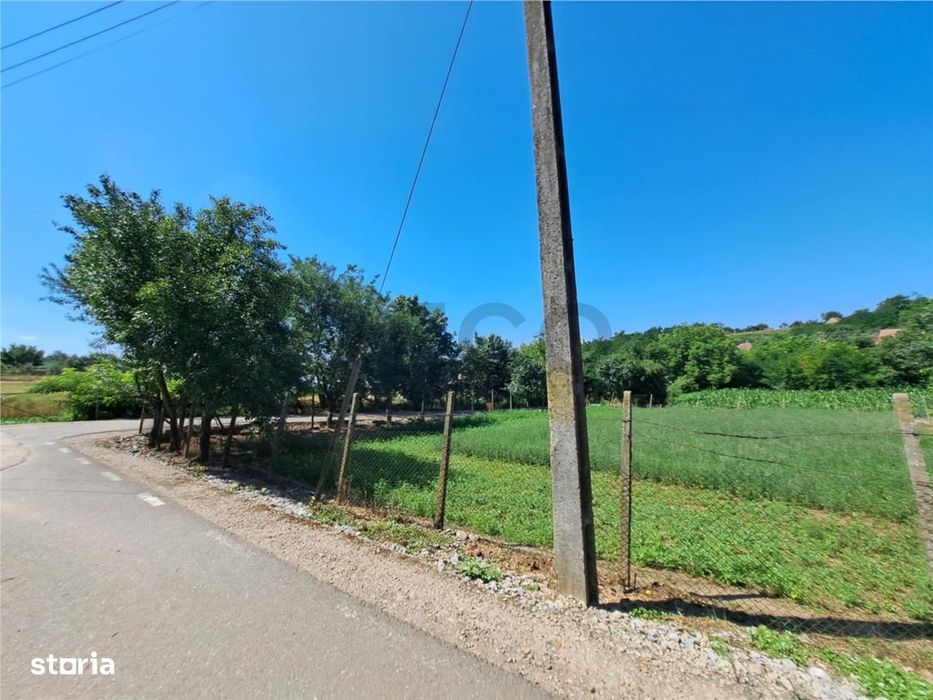 RECO casa dubla Cadea