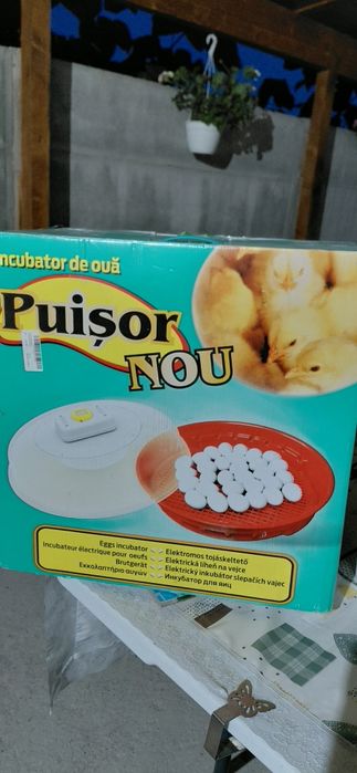 Incubator electric oua (clocitoare)