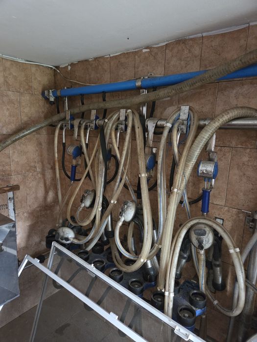 Instalatie muls 4 posturi