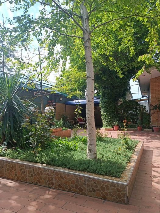 Продаётся Дом на Паркентском