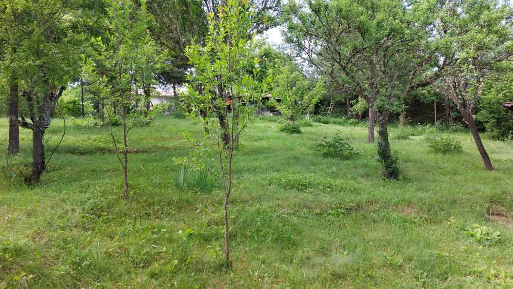 Продава се Парцел в с. Егълница, Област Перник - 1187 кв.м за 27 €/кв.м - Снимка #7