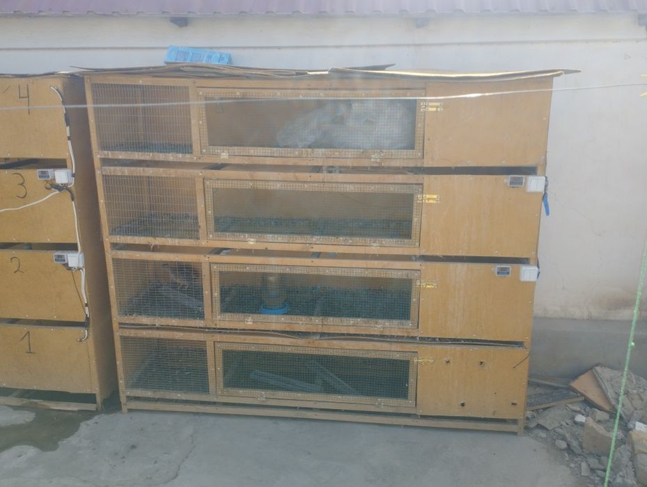 Bruder sotiladi xamma narsasi bor