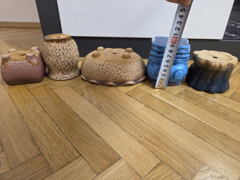 5 ghivece pentru plante mici