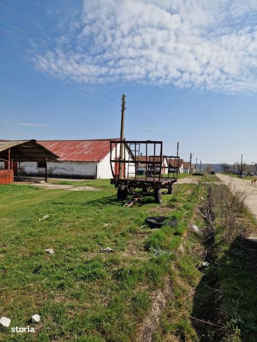 Ferma de vanzare 8 ha – Bals, judetul Olt