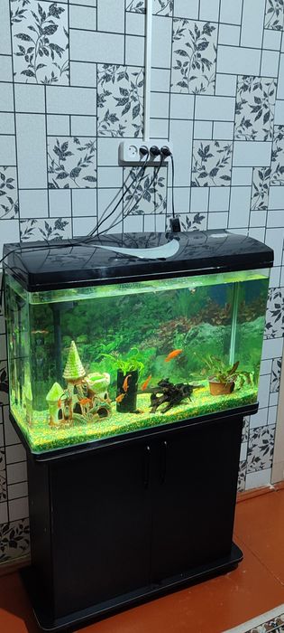 Аквариум заводской