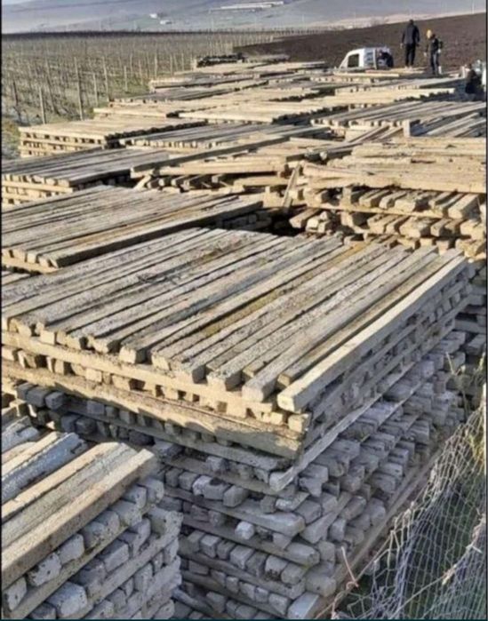 Stâlpi beton pentru vie si gard