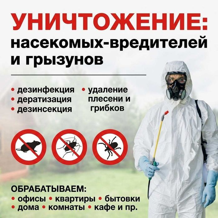 Дезинфекция кафе офис | Dezinfeksiya | Klopa tarakan | Гарантия год