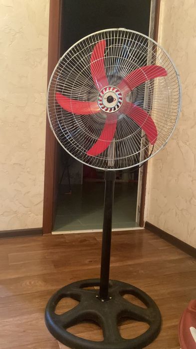 Кимдер каданокк пелесос