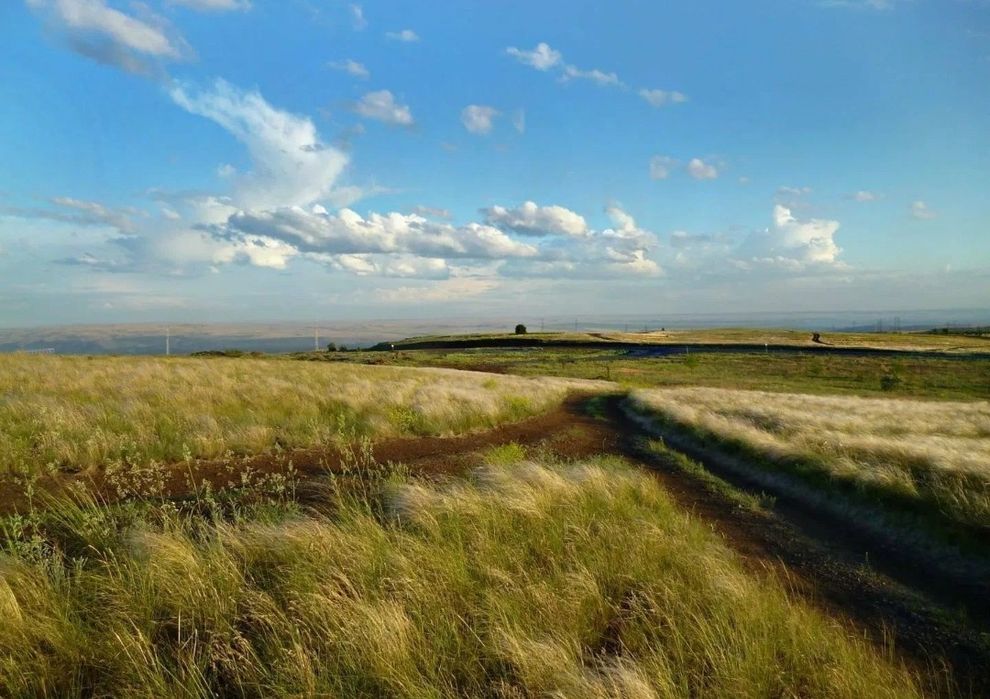 Продам участок 113 гектаров.