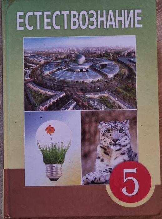 Три учебника за 5 класс