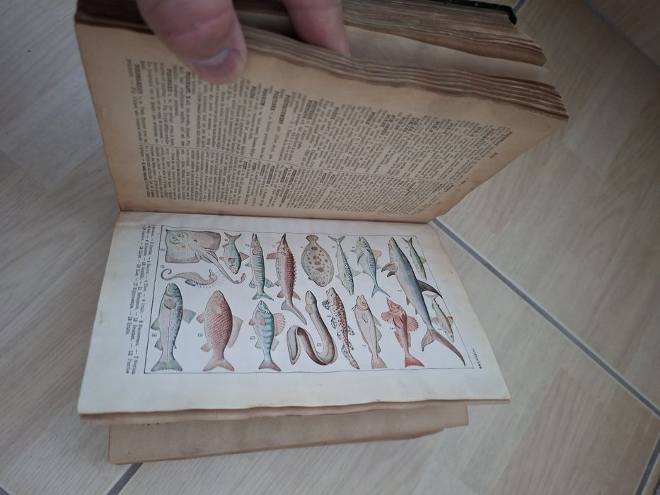 Dicționar francez ilustrat