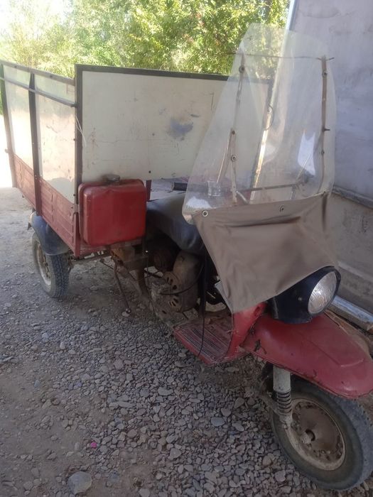 Muravey yahwi holatda