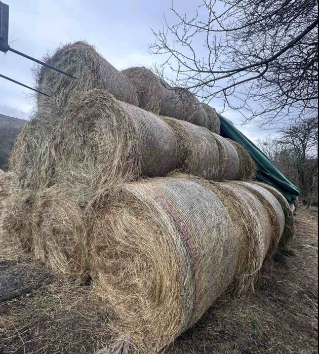 Рулонни бали сено