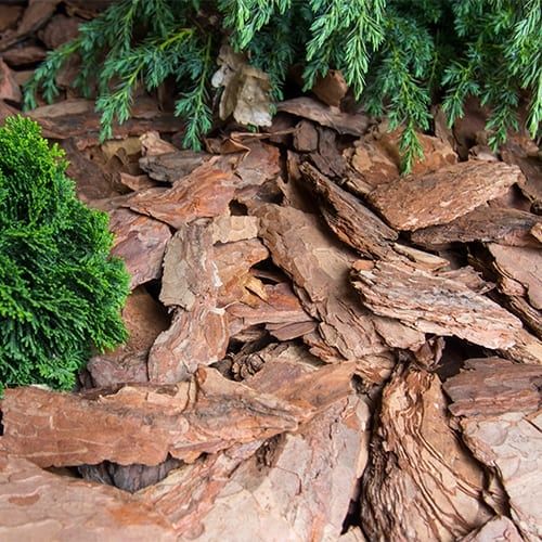 Мульча | кора лиственницы