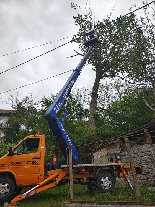Кастрене и рязане на дървета с автовишка