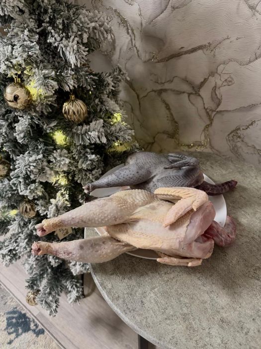 Продам тушки домашних петушков.