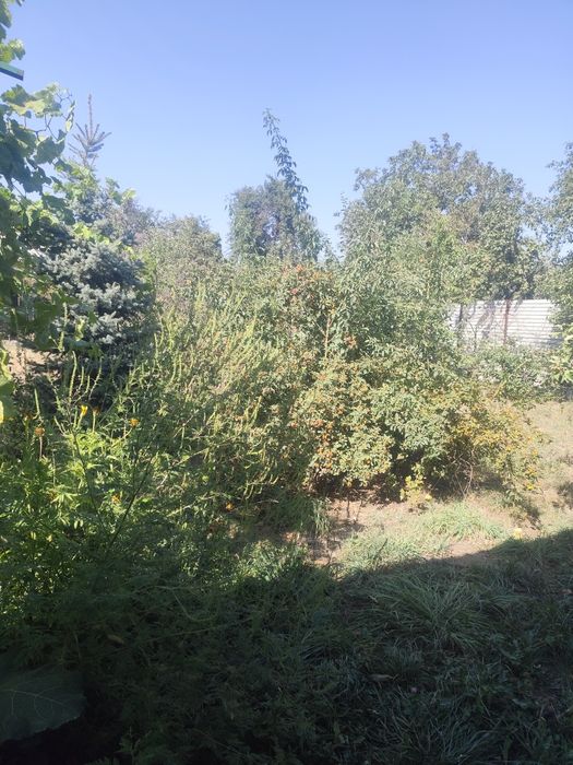 Продам дом дачу светлый уютный