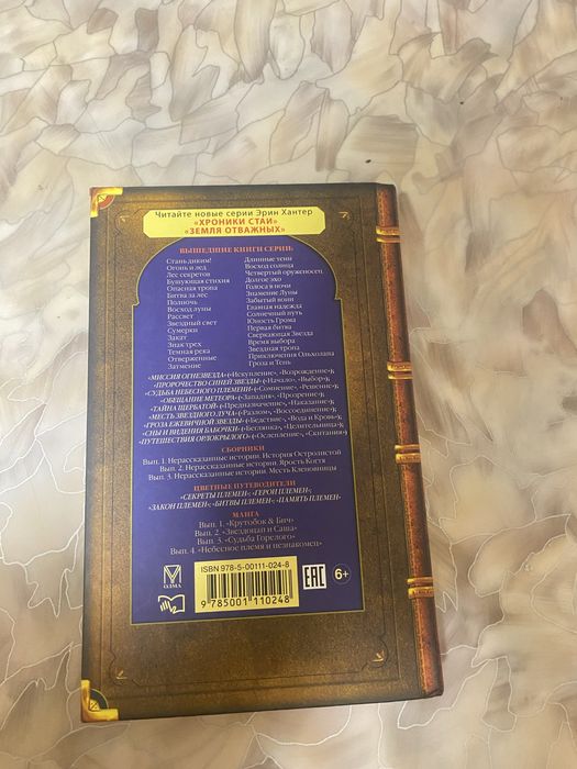 Коты-Воители (полночь)