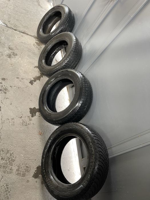 Шины болоны срочна сатылад