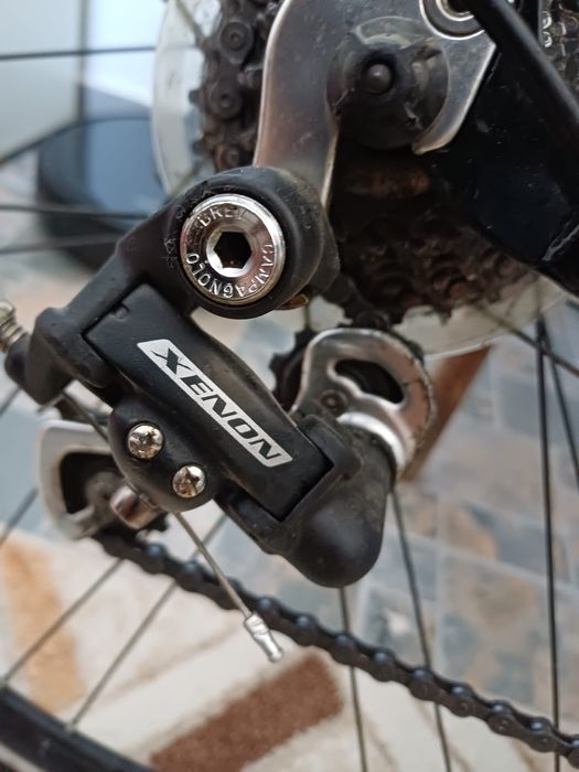 Vand sau la schimb cursiera