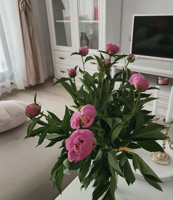Apartament de inchiriat
