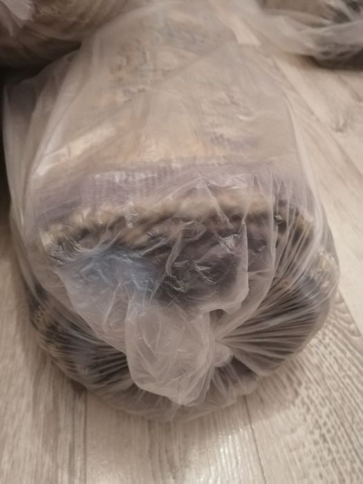 Продам ковры срочно