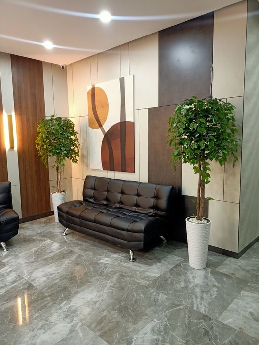 Искусственные деревья ,фикусы