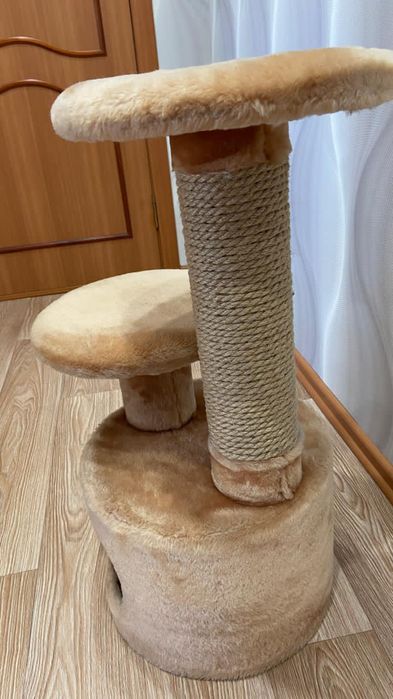 Когтеточка -домик