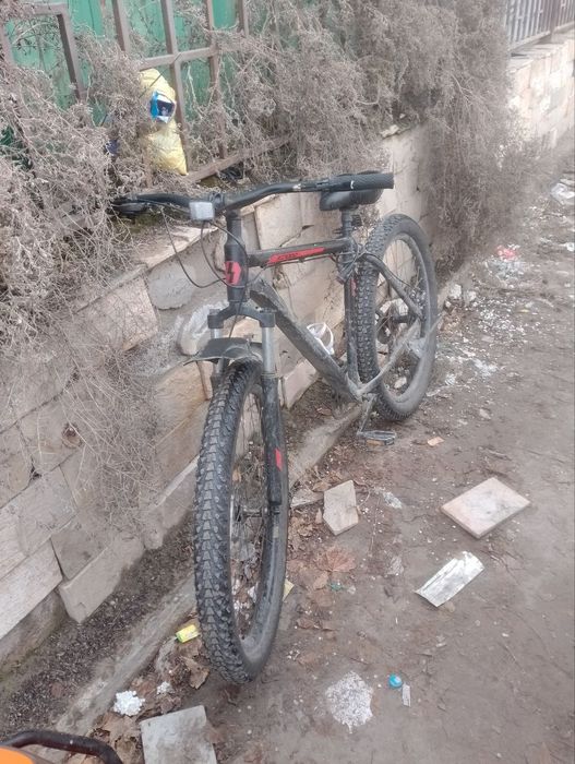 Влосапед velosiped