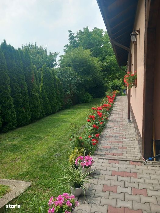 Proprietate cu 2 case, garaj și spațiu comercial, 1260 mp,Sangiorgiu