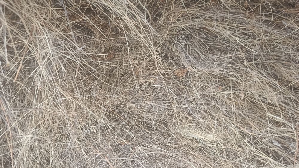 Продам сено стог, не рулоны