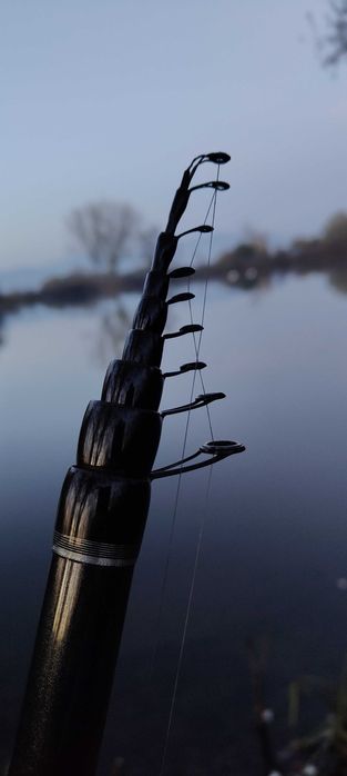 въдица болонеза OKINWA COMPETITION 6м