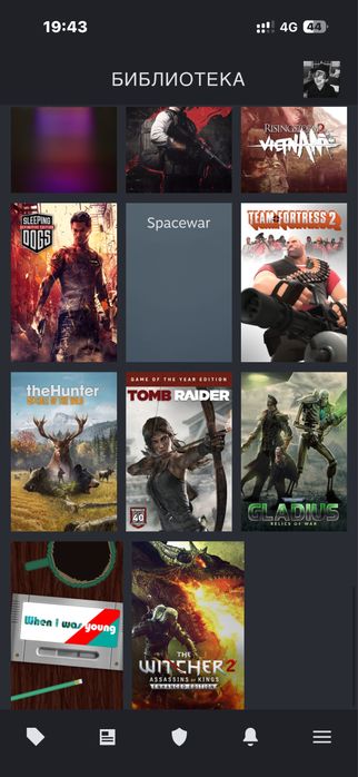 Steam account    .