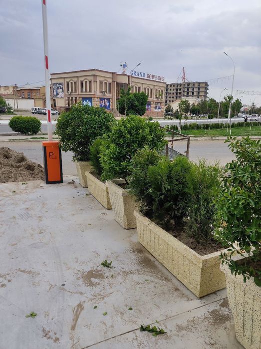 Бетон гул тувакларимиз. Сотувда. Сиз истаган. Реклама езиб берамиз