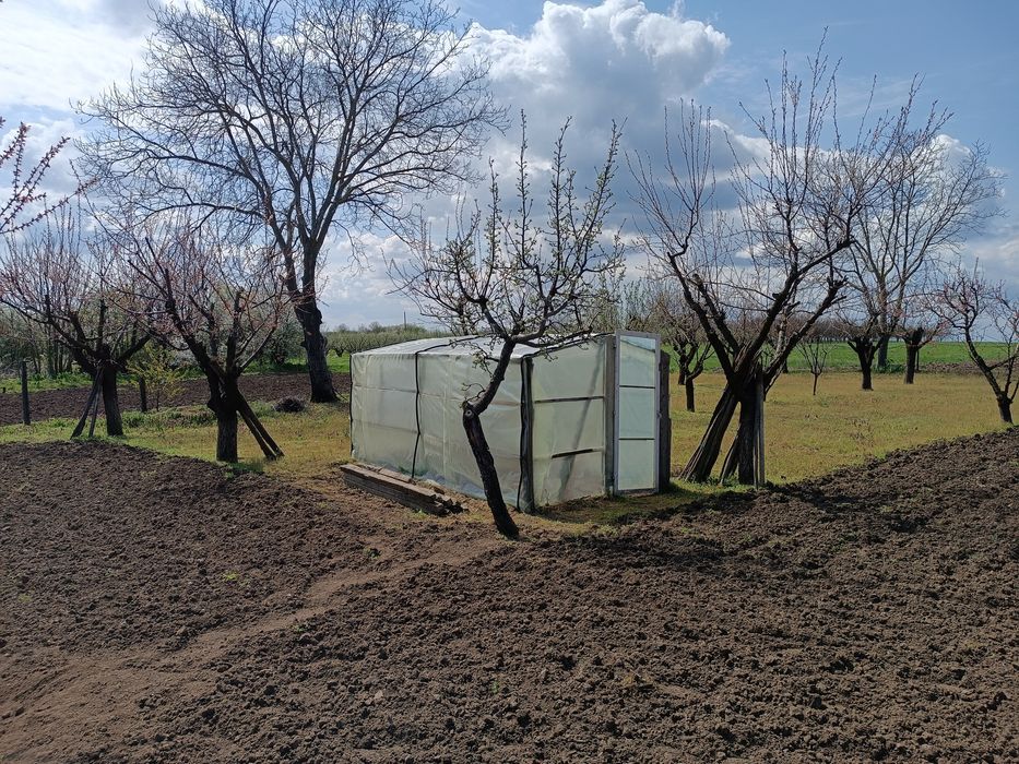 Къща с двор, с.Ситово Силистра