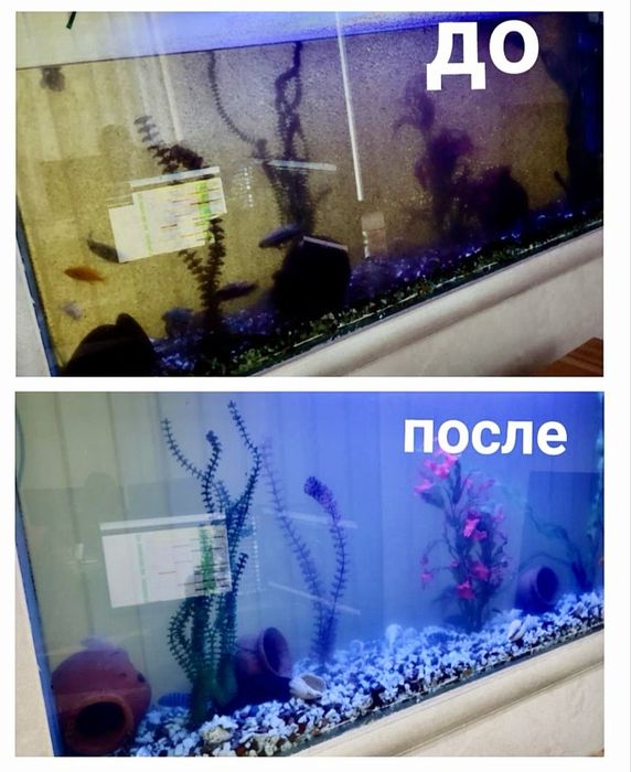 Чистка аквариума. Обслуживание, оформление аквариума.