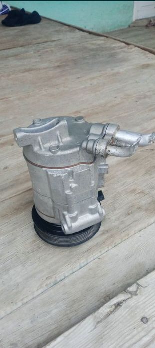 Kandisaner Kaptiva malibga koʻbit  neksiya jentra bor