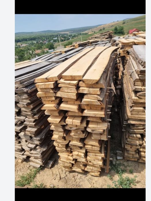 Cherestea TEI,STEJAR,FRASIN jud.Tulcea