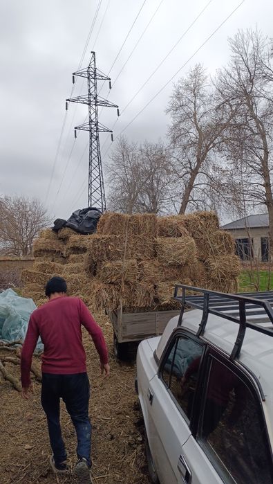 Mayin o't pres sotiladi